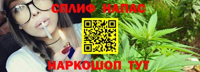 стаф Будённовск