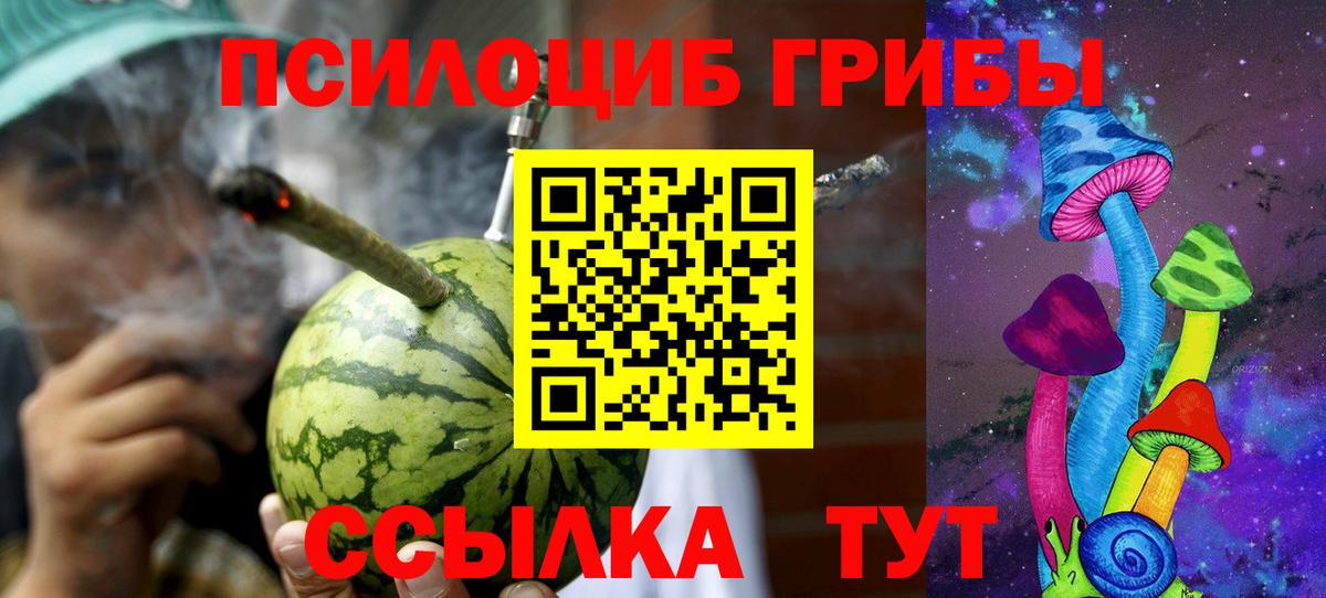 Псилоцибиновые грибы мицелий Похвистнево